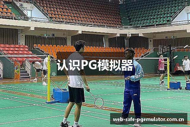 认识PG模拟器